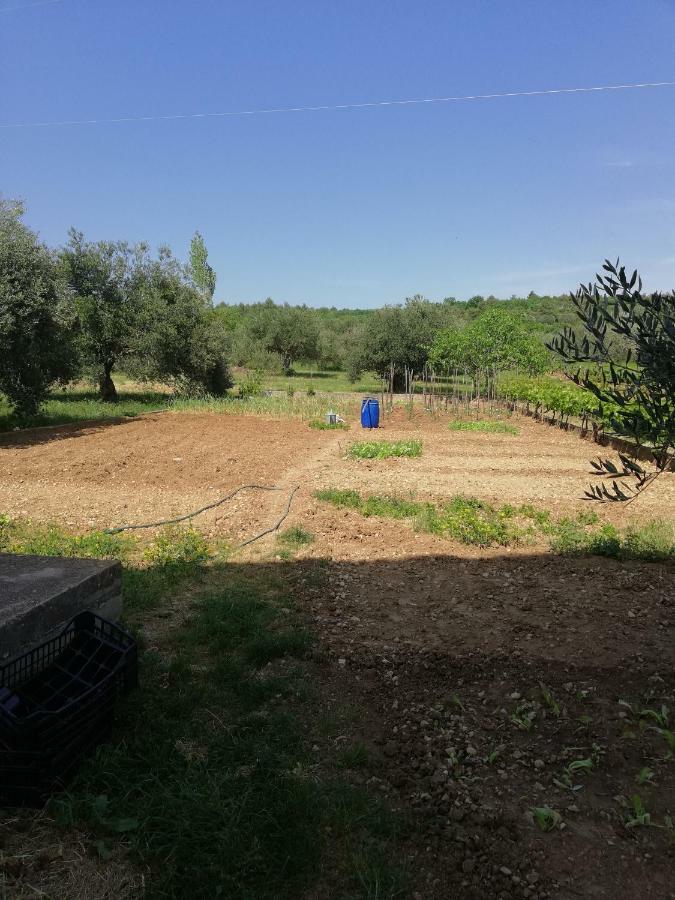 Apartmani Sladic Skradin Zewnętrze zdjęcie