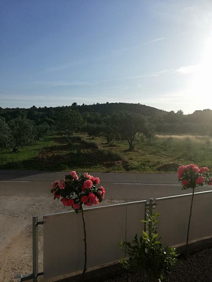 Apartmani Sladic Skradin Zewnętrze zdjęcie